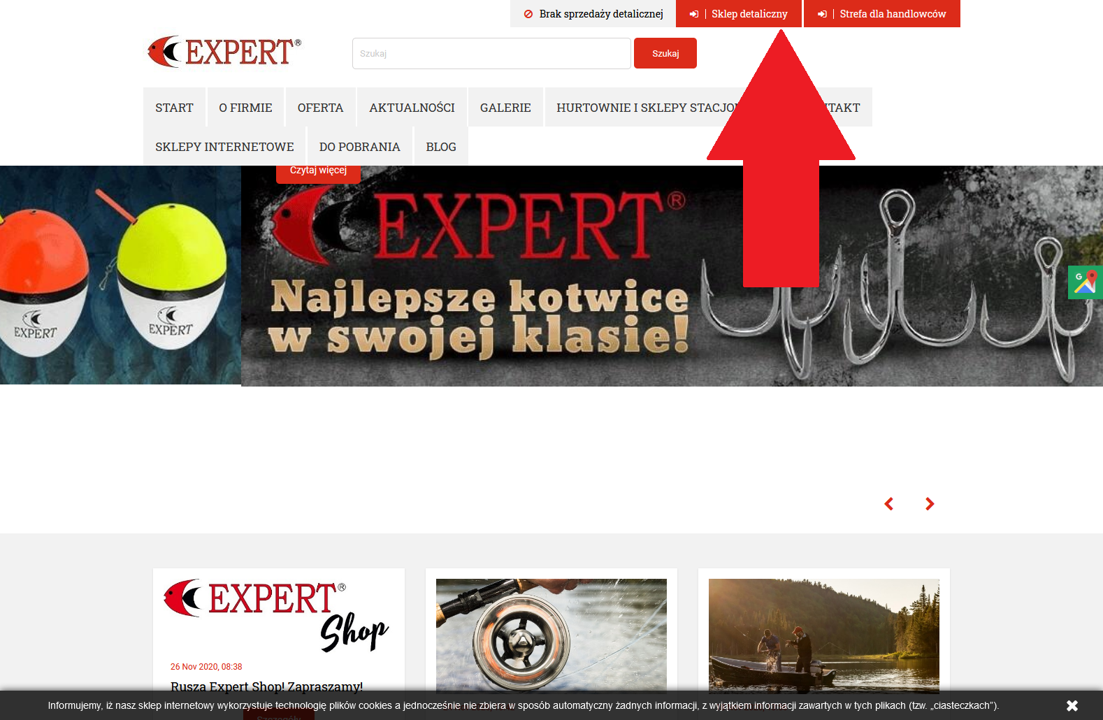 expert